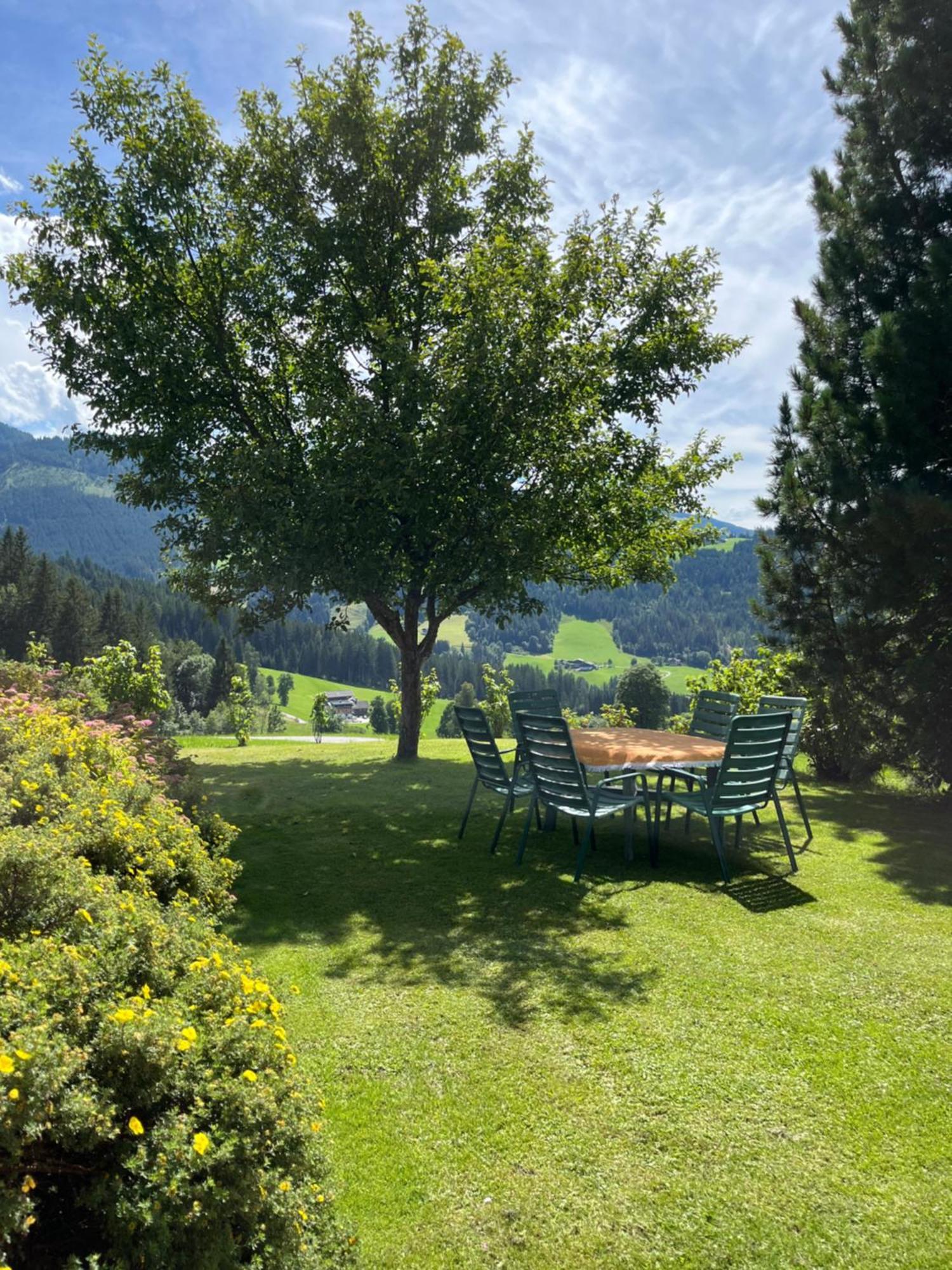 Hornergut Apartment Altenmarkt im Pongau Ngoại thất bức ảnh