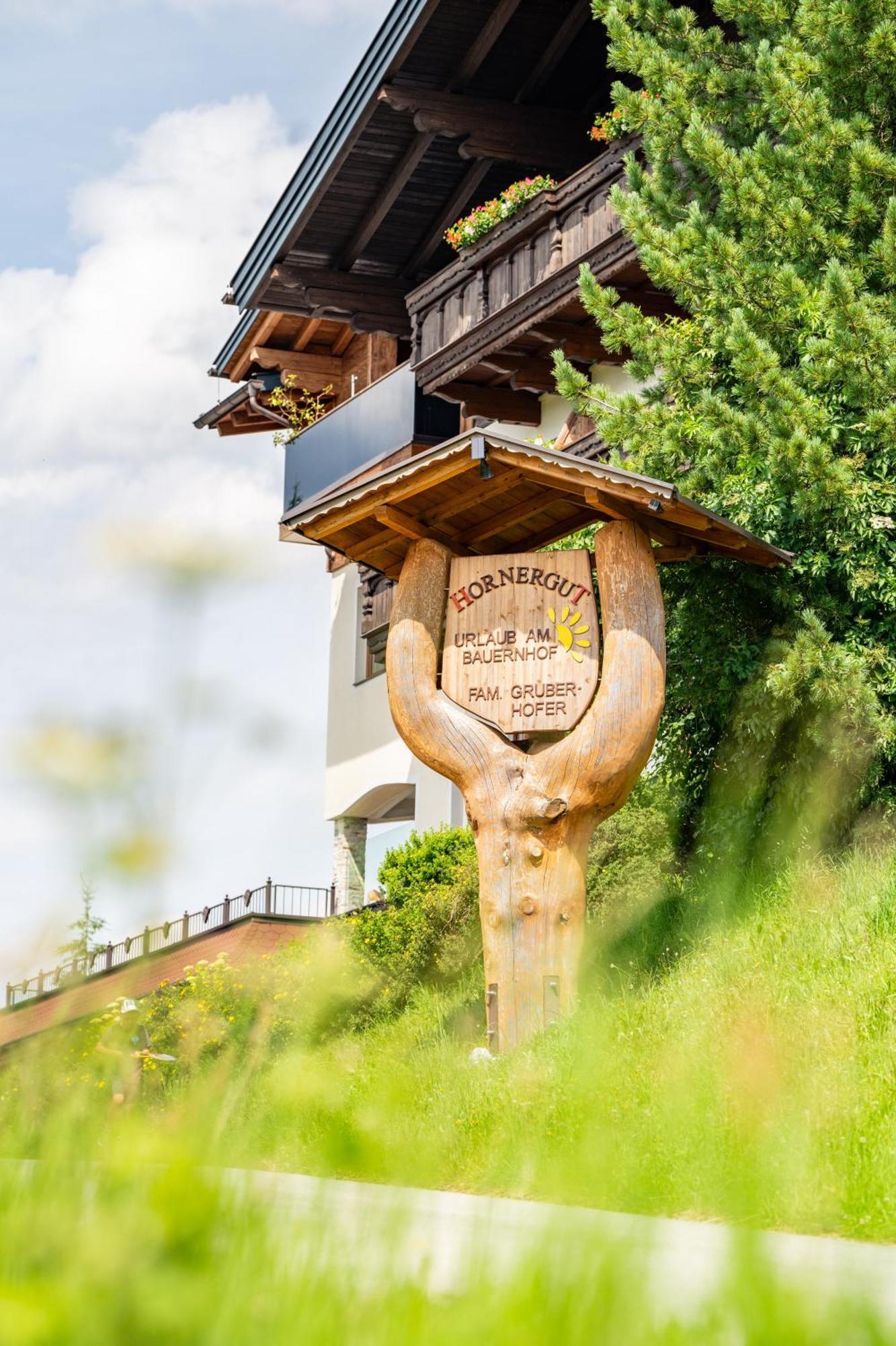 Hornergut Apartment Altenmarkt im Pongau Ngoại thất bức ảnh