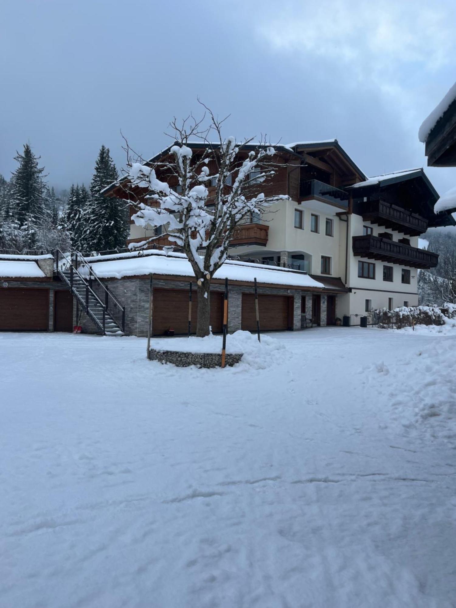 Hornergut Apartment Altenmarkt im Pongau Ngoại thất bức ảnh